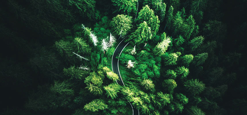 An arial view of winding road through a dense green forest.