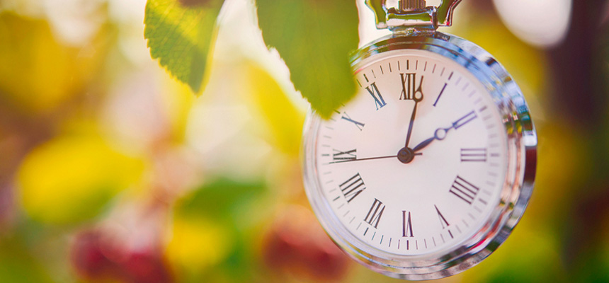 A silver stopwatch appears to be hanging within fall leaves.