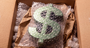 A dollar sign wrapped in bubble wrap sits inside a box, showing how claims are protected and handled.